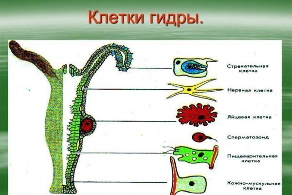 Кракен нарко