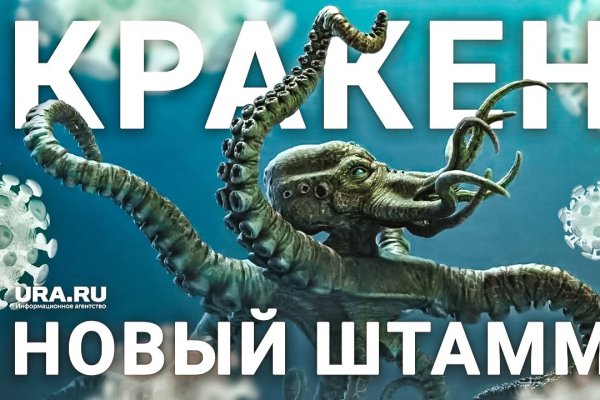 Kit kraken официальный сайт