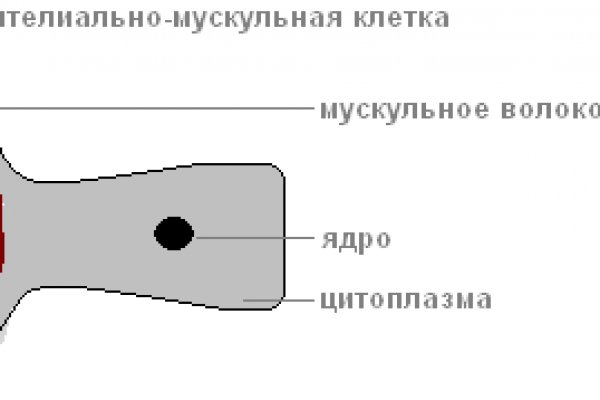 Правильная ссылка онион кракен