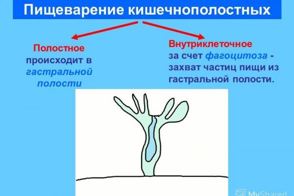 Что такое кракен маркетплейс в россии